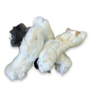Four rabbit feet in a pile on a white background.