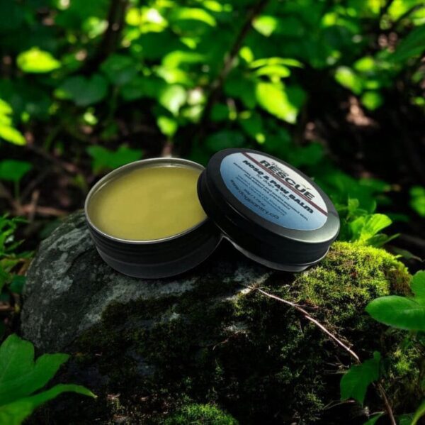 Nose & Paw Balm - Image 2