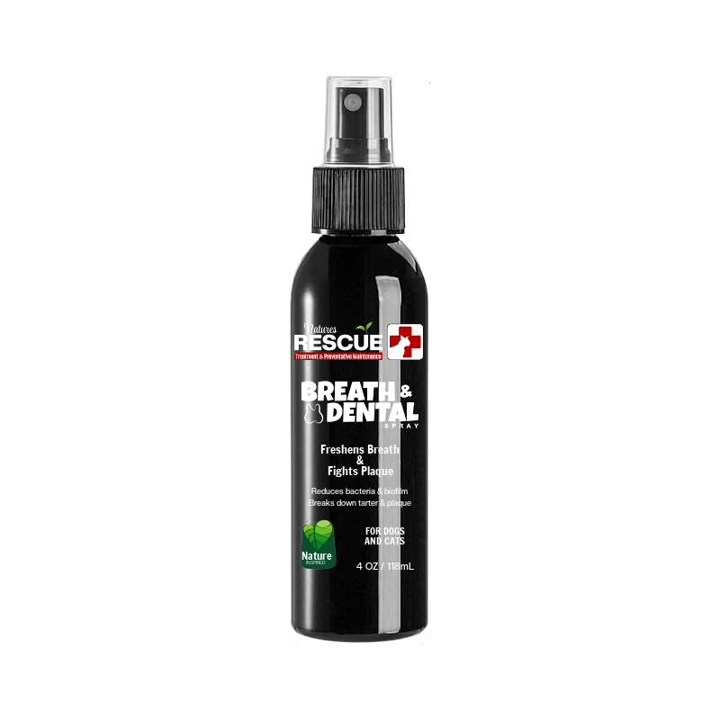 Breath & Dental Spray