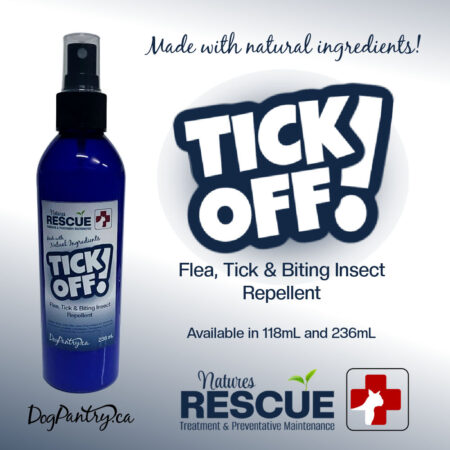 TickOff Promo (1)